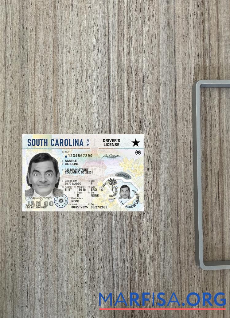 Downloadable USA South Carolina driving license 2025 present photolook template